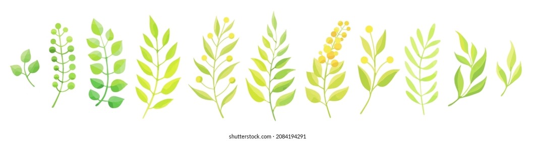 Green leaves set isolated on white background. Different herbs. Vector illustration.