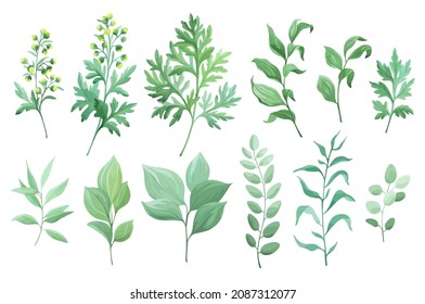 Green leaves set isolated on white background. Sagebrush and other wild herbs. Vector illustration.