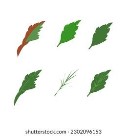 Green leaves set isolated on white background. Vector illustration.vector