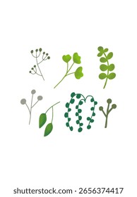 Conjunto de hojas verdes aisladas en blanco

