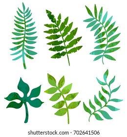 Green leaves set isolated on white background