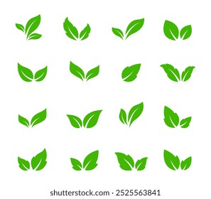 Green leaves. Set of green leaf icons. Leafs green color icon logo. Leaves on white background. Leaves. Foliate Vector illustration.