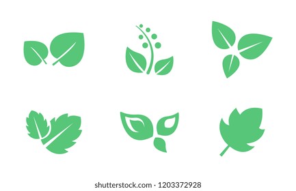 Green leaves set, leaf of trees and plants vector Illustration on a white background