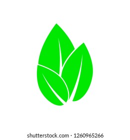 Green leaves set. Logo template. Leaf icon. Elements for eco and bio logos. Ecology nature element. Vector illustration.