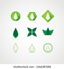 green leaves set  logos. gradation color template design vector
