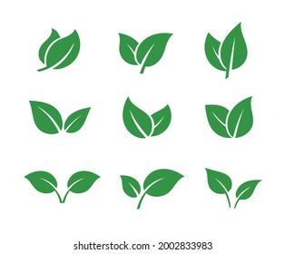 Green leaves set. Tree leaf. Spring, summer, autumn. Color eco icon logo. Ecology nature.