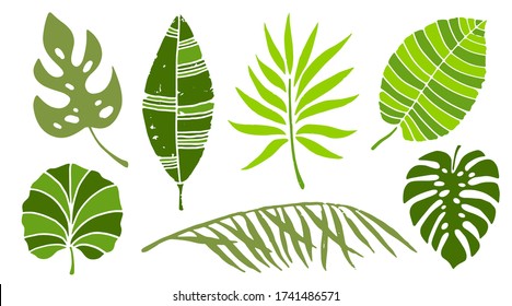 Green leaves set. Tropical plants, branches isolated on white background
