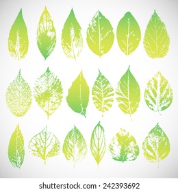 Green leaves set. Vector illustration Eps 10.
