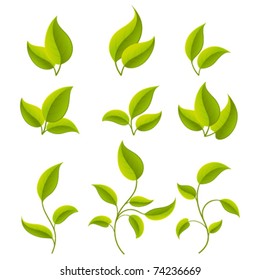 Green leaves set. Vector illustration Eps 10.