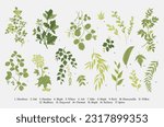 Green Leaves. Set. Vector vintage illustration. 