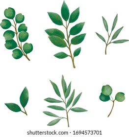Green leaves set white background