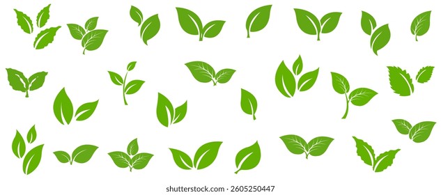 Green Leaves Set With White Background , Vector Illustration
