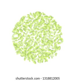 Green leaves in a shape of a ball ornament. Eco vegan isolated vector image