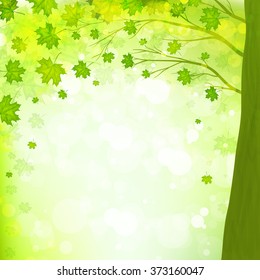 green leaves spring background