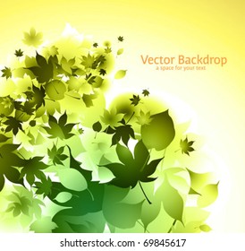 green leaves spring background