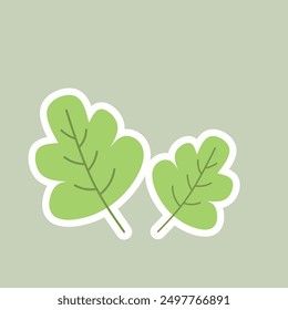 Green leaves with Spring Concept flat design