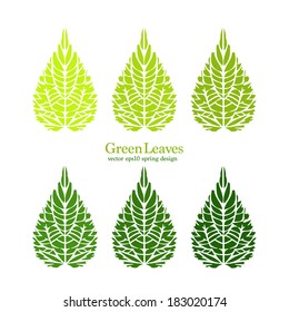 Green leaves spring minimalistic background