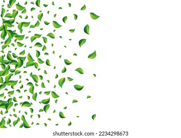 Green Leaves Spring Vector White Background. Organic Greens Banner. Forest Leaf Wind Backdrop. Foliage Nature Pattern.