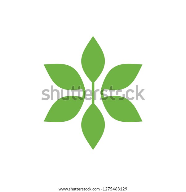 Green Leaves Star Flower Logo Designlogo Stock Vector Royalty