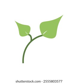 Green leaves and stems vector design, leaves icon, green natural ecology design, spring, growth, leaf, palm icon vector design illustration. 