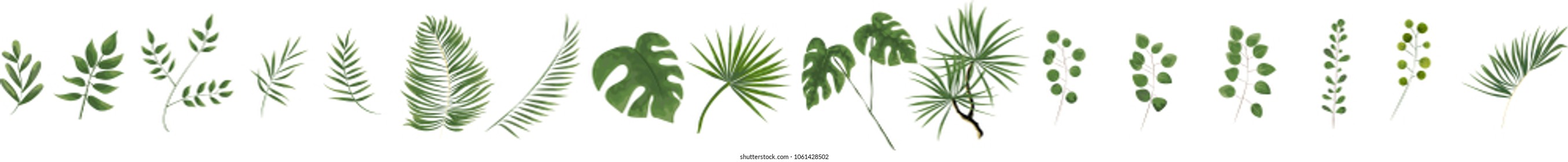 Green leaves in the style of watercolor. Vector set of green forest fern, tropical eucalyptus greenery. Drawn elements for wedding.