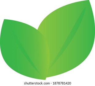 Grüne Blätter, geeignet für Umweltlogo und gesunden Lebensstil