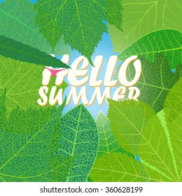 green leaves summer background