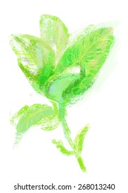 Green leaves. Summer floral illustration. Eco concept design.