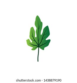 Green leaves of summer palm tree on a white background vector design