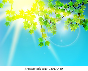Green leaves with sun ray. EPS10