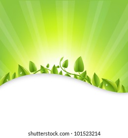Green Leaves With Sunburst  And Rays, Vector Illustration
