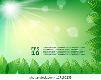 Green leaves in sunlight background