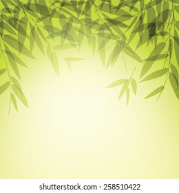 Green leaves at sunset time. Vector illustration.