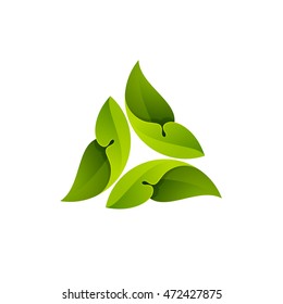 Green leaves in a swirl logo. Ecology elements for ecology banner, presentation, web page, card, labels or posters.