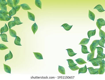 Green Leaves Swirl Vector Green Background Template. Ecology Greenery Banner. Swamp Foliage Blur Brochure. Leaf Tree Border.