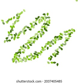 Green Leaves Swirl Vector Background. Abstract Leaf Plant. Lime Foliage Spring Illustration. Greens Organic Poster.