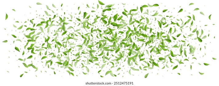 Green Leaves Swirl Vector Panoramic White Background Backdrop. Organic Greens Concept. Grassy Foliage Nature Banner. Leaf Spring Poster.