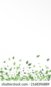 Green Leaves Swirl Vector Banner De Fondo Blanco. Patrón de hojas borrosas. Rama Natural del Foliage Grassy. Planta Realista De Verdor.