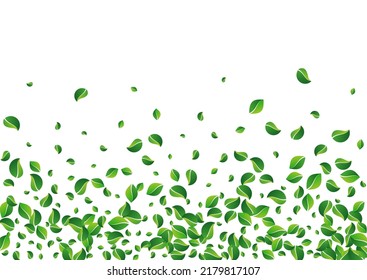 Green Leaves Swirl Vector White Background. Flying Foliage Banner. Lime Leaf Fly Plant. Greens Transparent Wallpaper.