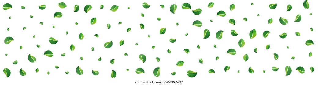 Green Leaves Tea Vector Panoramic White Background. Fly Leaf Template. Mint Greens Ecology Border. Foliage Spring Concept.