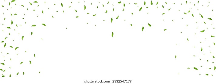 Green Leaves Tea Vector Panoramic White Background Concept. Swirl Greens Wallpaper. Grassy Leaf Blur Plant. Foliage Wind Pattern.