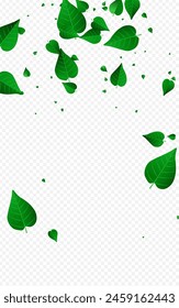 Green Leaves Tea Vector Transparent Background Poster. Flying Foliage Pattern. Lime Greens Realistic Border. Leaf Ecology Plant.
