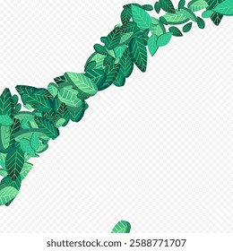 Green Leaves Tea Vector Transparent Background Pattern. Organic Foliage Plant. Lime Leaf Swirl Banner. Greens Fresh Wallpaper.