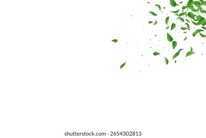 Green Leaves Tea Vector White Background Banner. Fresh Leaf Wallpaper. Grassy Greens Blur Illustration. Foliage Wind Border.