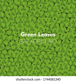 green leaves texture vector illustration. Background illustration