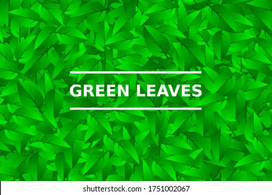 Textura de hojas verdes. Ilustración vectorial.
