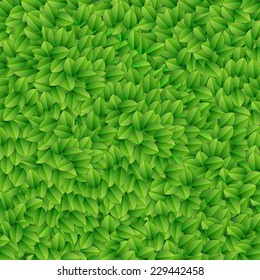 Green leaves texture. Vector illustration.