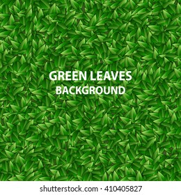 Green leaves texture. Vector illustration background.