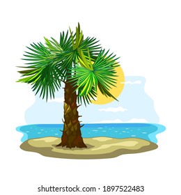 Green leaves and thick stem, azure coast, oasis. Vector sunny weather, sand and boundless ocean, summertime vacation, island landscape design isolated on white background