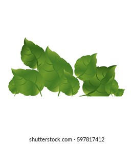 green leaves together icon, vector illustraction design